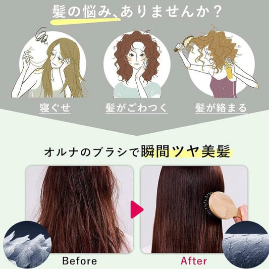 🇯🇵 日本直送 ALLNA ORGANIC 天然豬毛梳