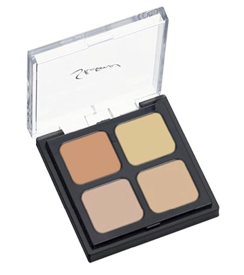 🇯🇵Japan direct delivery Sanshan 4 color concealer