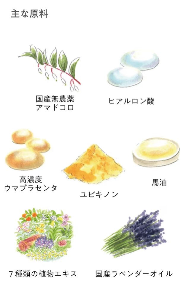 🇯🇵 日本直送 sunao 無添加 有機全效保濕修護啫喱 75g ✨