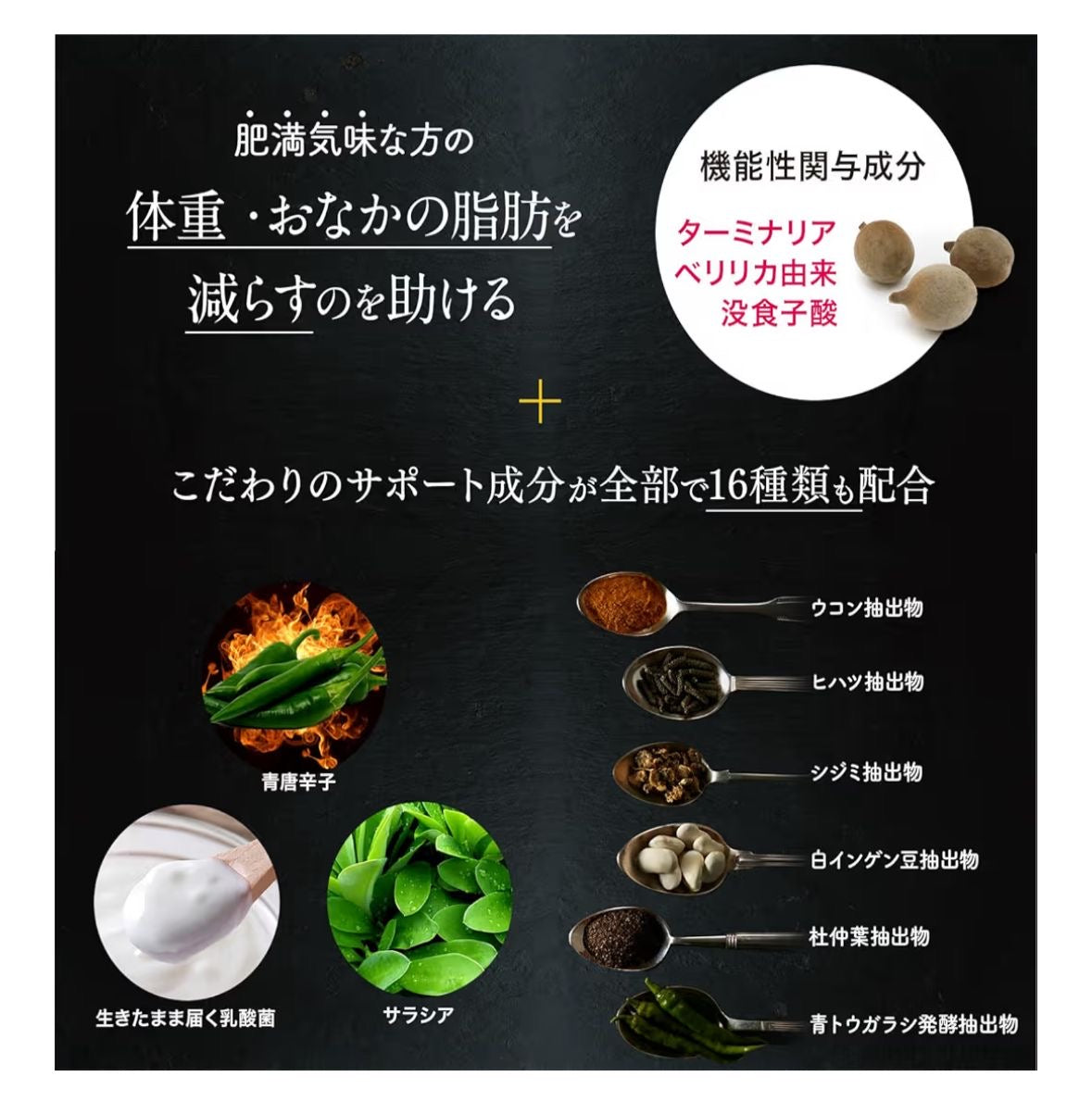 🇯🇵 日本直送 Terminalia First 降糖減脂丸✨ 1袋120粒 (約30回分)