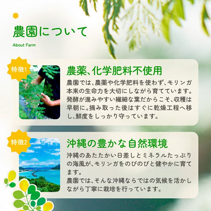 🇯🇵 日本直送 mori mori charge! 沖繩辣木青汁 (3g × 20包) 🌿💚