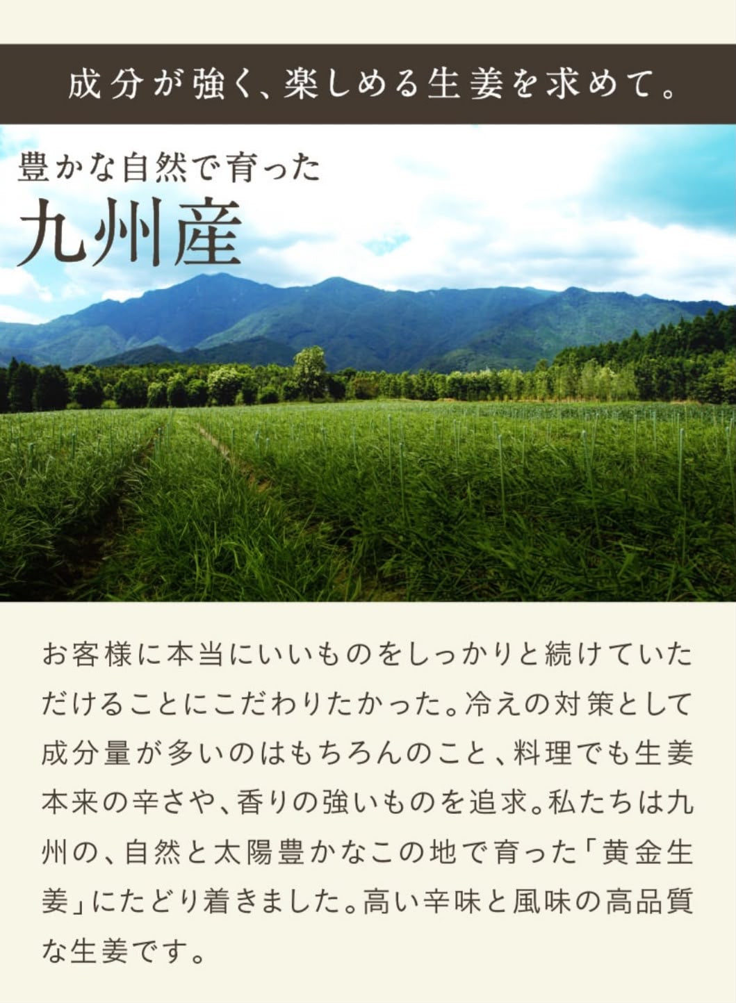 🇯🇵 日本直送 九州產「未來之生薑」黃金黑生薑粉末🫚✨ 70g 