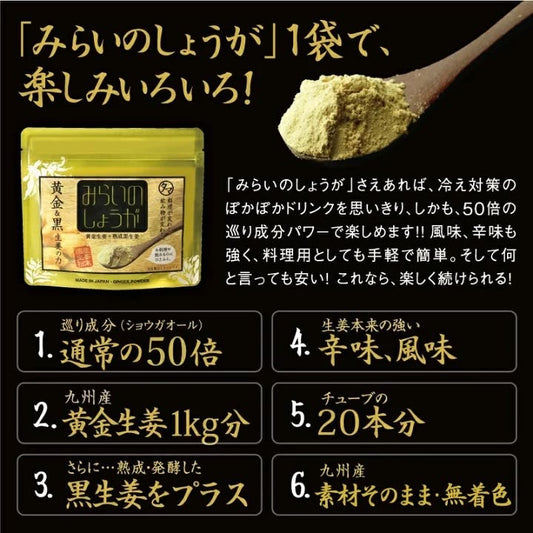 🇯🇵 日本直送 九州產「未來之生薑」黃金黑生薑粉末🫚✨ 70g 