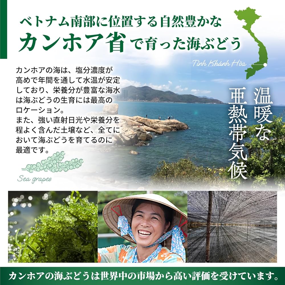 🇯🇵 AWOND Vietnam-produced Okinawa Sea Grapes 20g x 2 (can be stored at room temperature)🟢