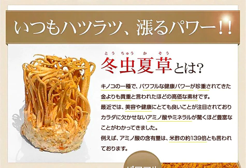 🇯🇵日本直送 Seedcoms 養生冬蟲夏草精華膠囊 (90粒/3個月)