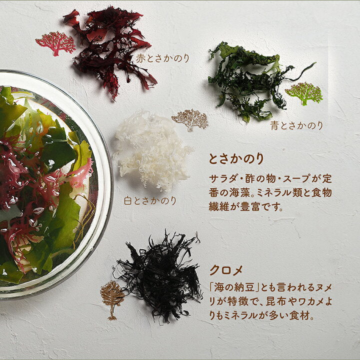 🇯🇵 "Seven Kinds of Happiness Seaweed Salad" from Kyushu, Japan, no additives 30g 🌊
