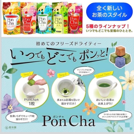 🇯🇵 Direct from Japan: Ryowaen PonCha Freeze-Dried Tea Cubes 🍵✨
