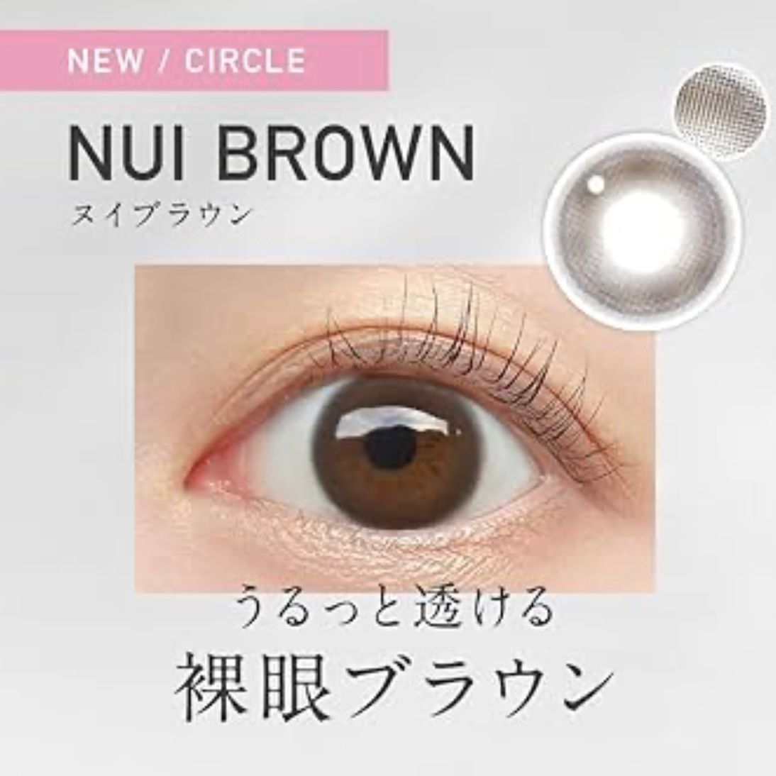 🇯🇵日本直送 日本 ReVIA 1day CIRCLE 日拋隱形眼鏡 10片