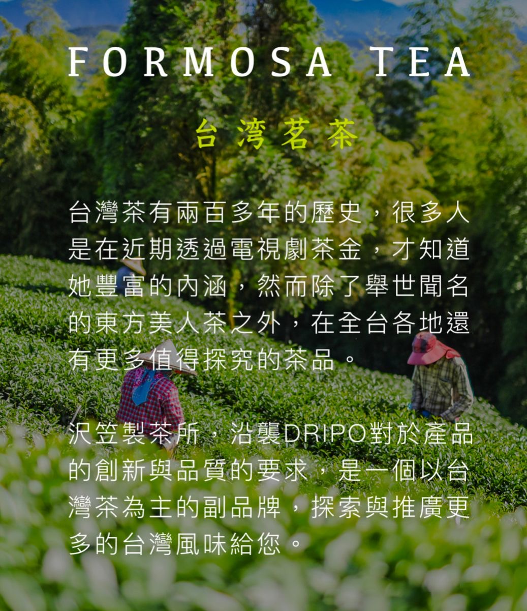 🇹🇼 台灣直送 DRIPO 茶葉系列 可冷或熱 -12包入