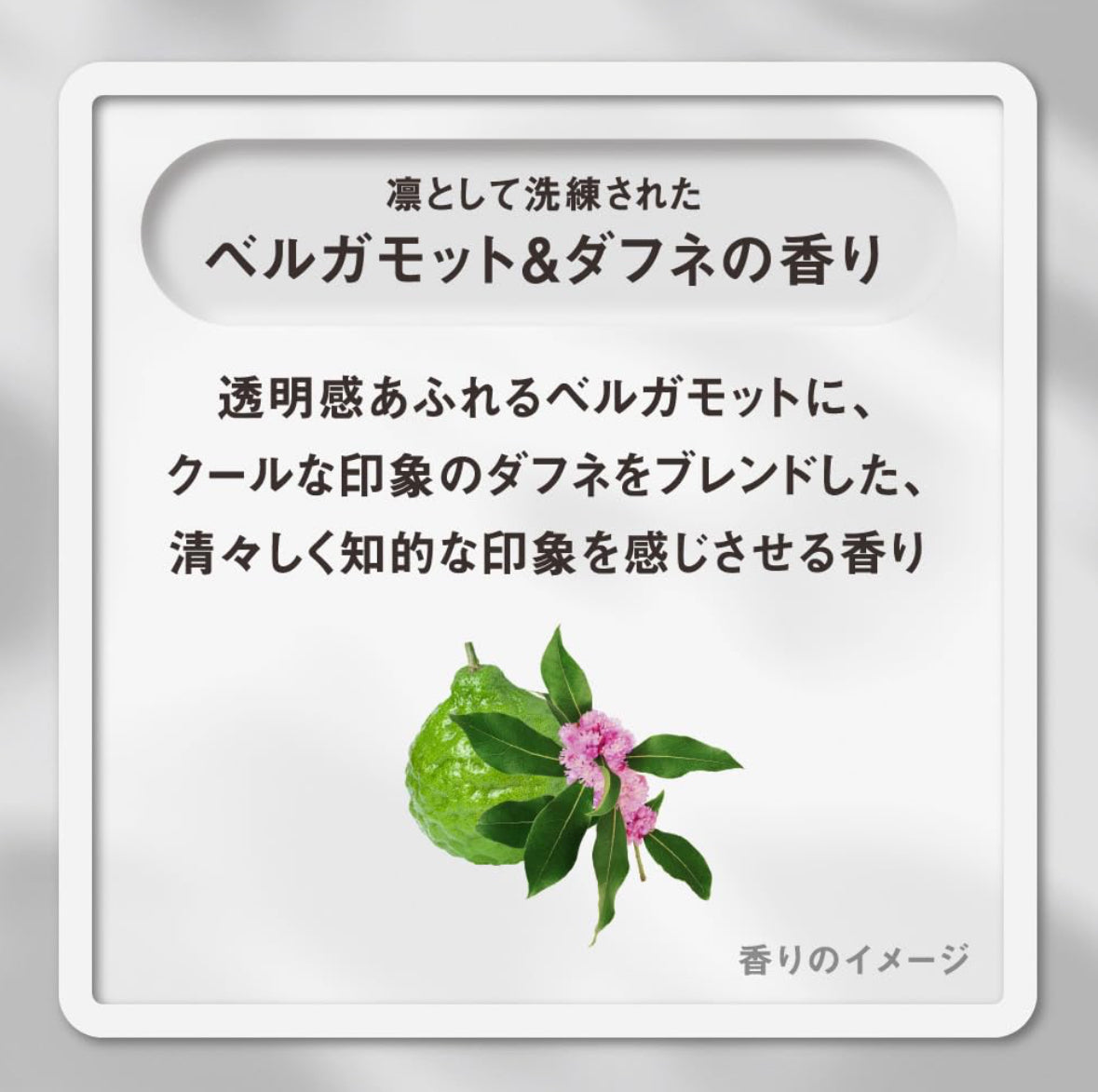 🇯🇵 日本直送THE ANSWER EX Care & Coat Oil 80ml 免沖洗護髮油 💧