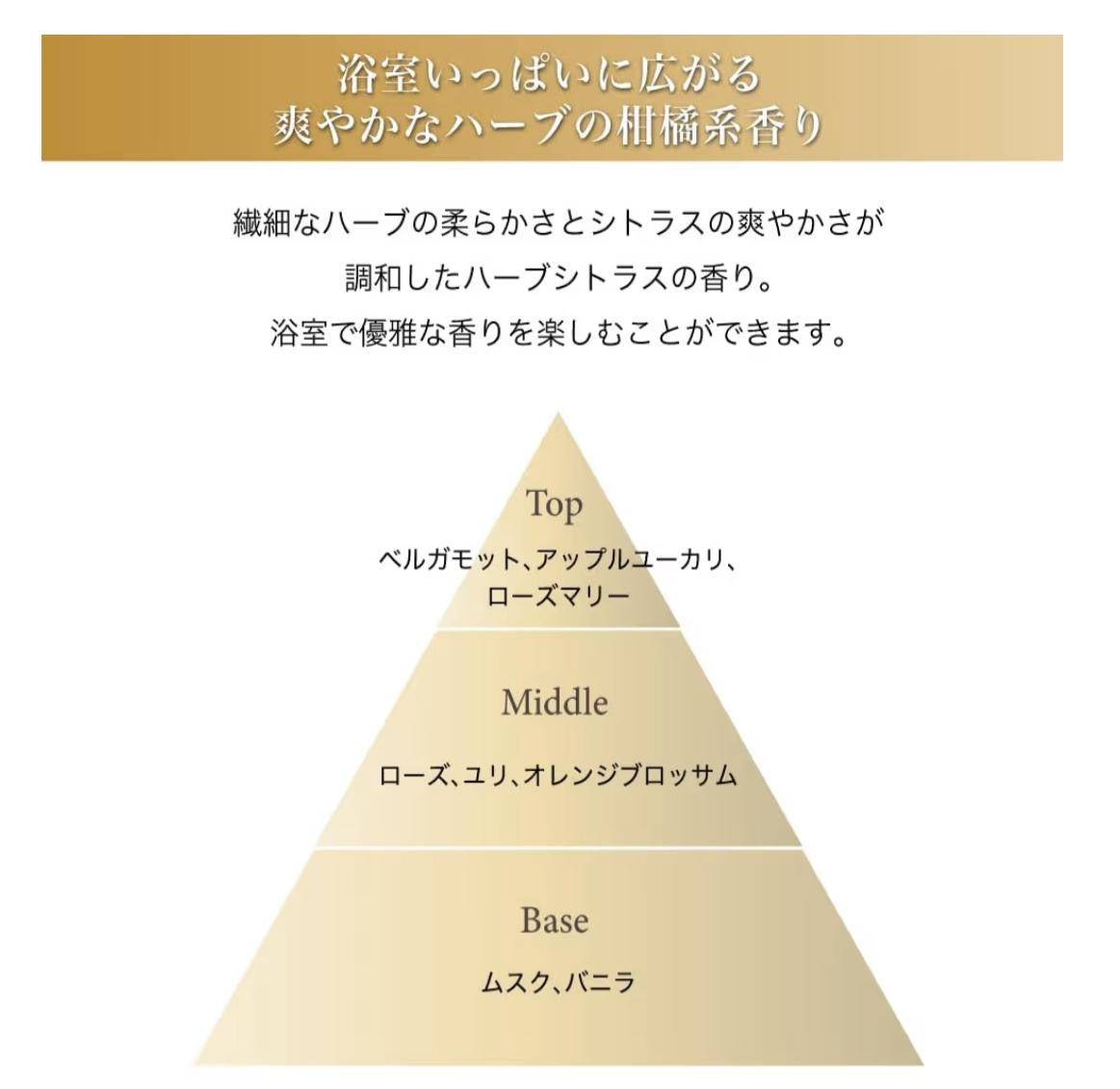🇰🇷 韓國直送 Seedbee Chaewoodam 溫和滋養水療護髮系列 🌿✨