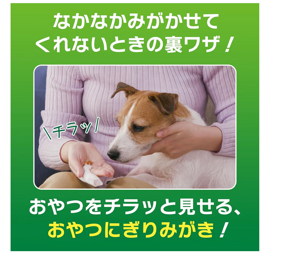 🌟 🇯🇵 LION Petkiss Finger Toothbrush Wet Wipes (3 x 12 pieces, imported directly from Japan) (Fragrance-free/Apple flavor)