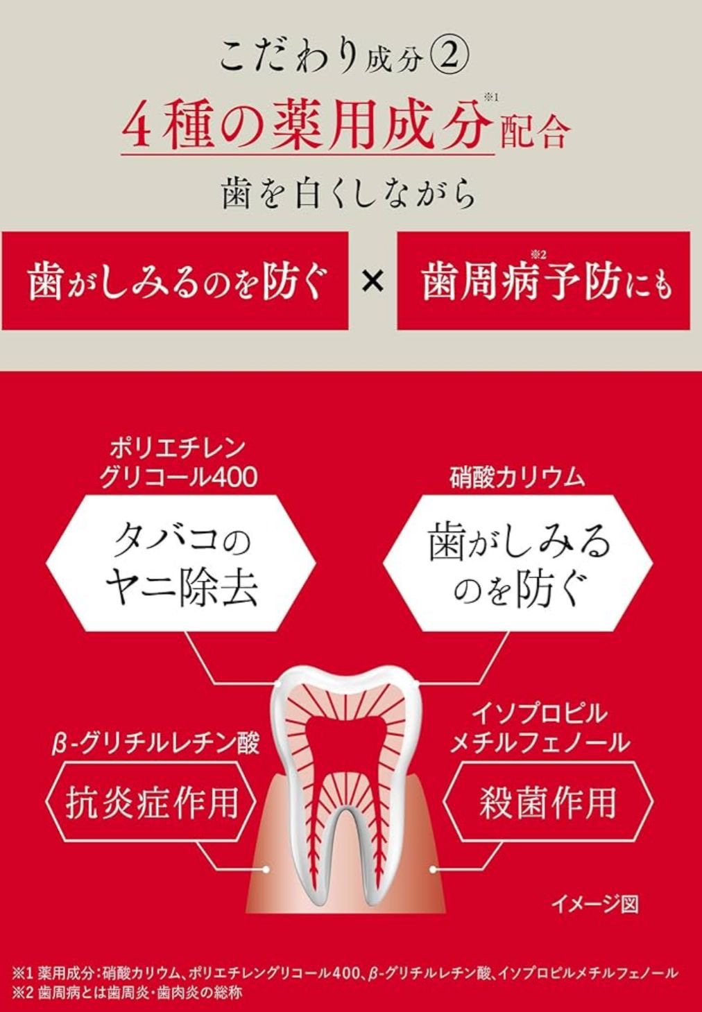 🇯🇵 日本直送 白・歯磨き堂 美白牙膏（藥用）🦷 90g
