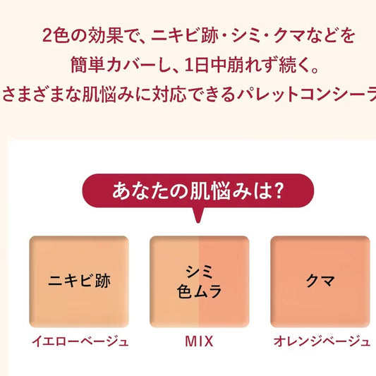 🇯🇵Direct from Japan INTEGRATE Hydrating Luminous Two-Tone Concealer 4g