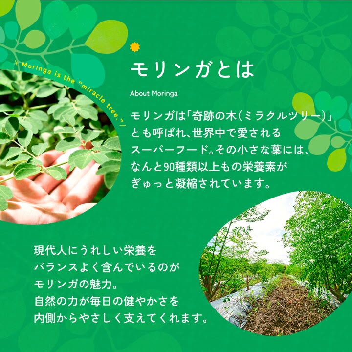 🇯🇵 日本直送 mori mori charge! 沖繩辣木青汁 (3g × 20包) 🌿💚
