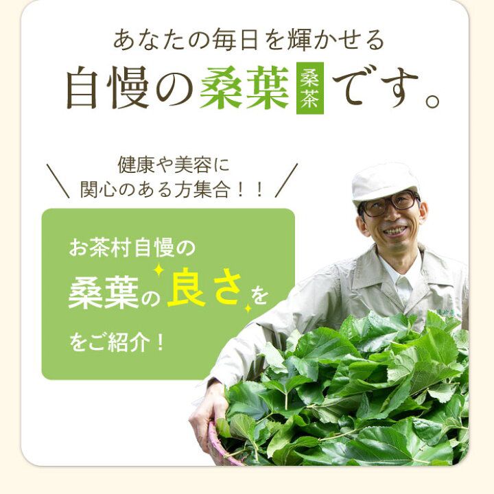 🇯🇵 日本直送 健康選擇 福岡縣 桑葉茶包 ( 大容量 60 包入) 🌿