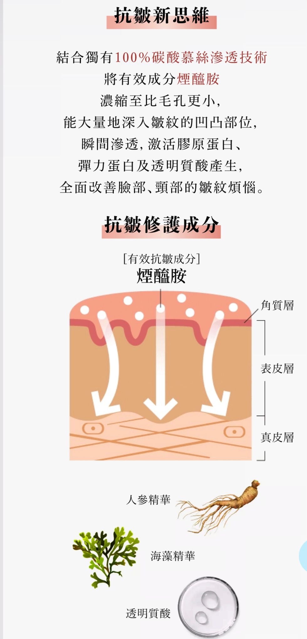 🇯🇵 SOFINA iP Anti-Wrinkle Carbonated Mousse Essence 90g Direct from Japan