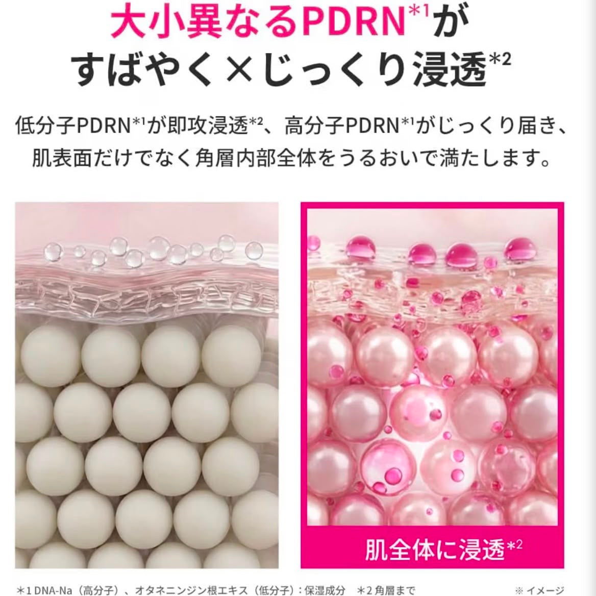 🇯🇵日本直送 PUNERA PDRN +E 亮澤精華 (Glow Serum) 30mL