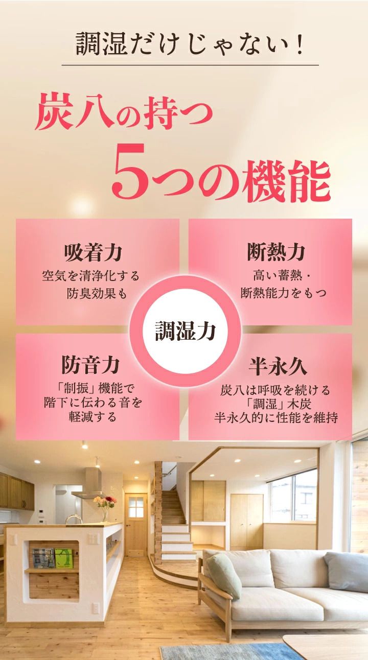 🇯🇵 日本直送 日本製「出雲屋炭八」調濕木炭 (5件裝)