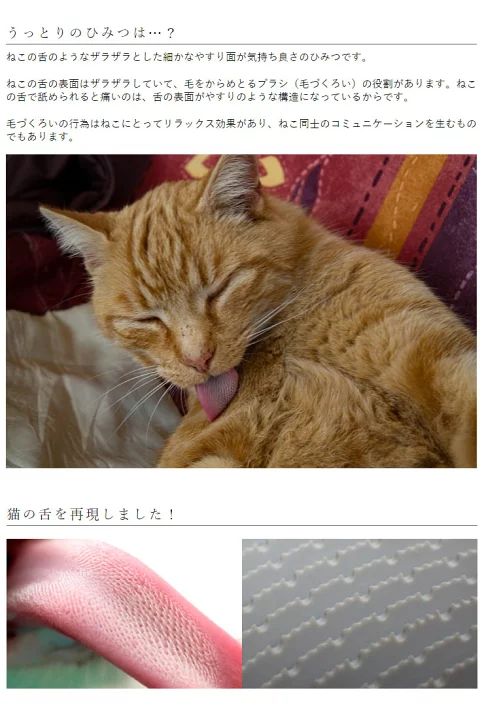 🇯🇵Japanese-made Wataoka Cat Tongue Comb (Nekojasuri) shipped directly from Japan