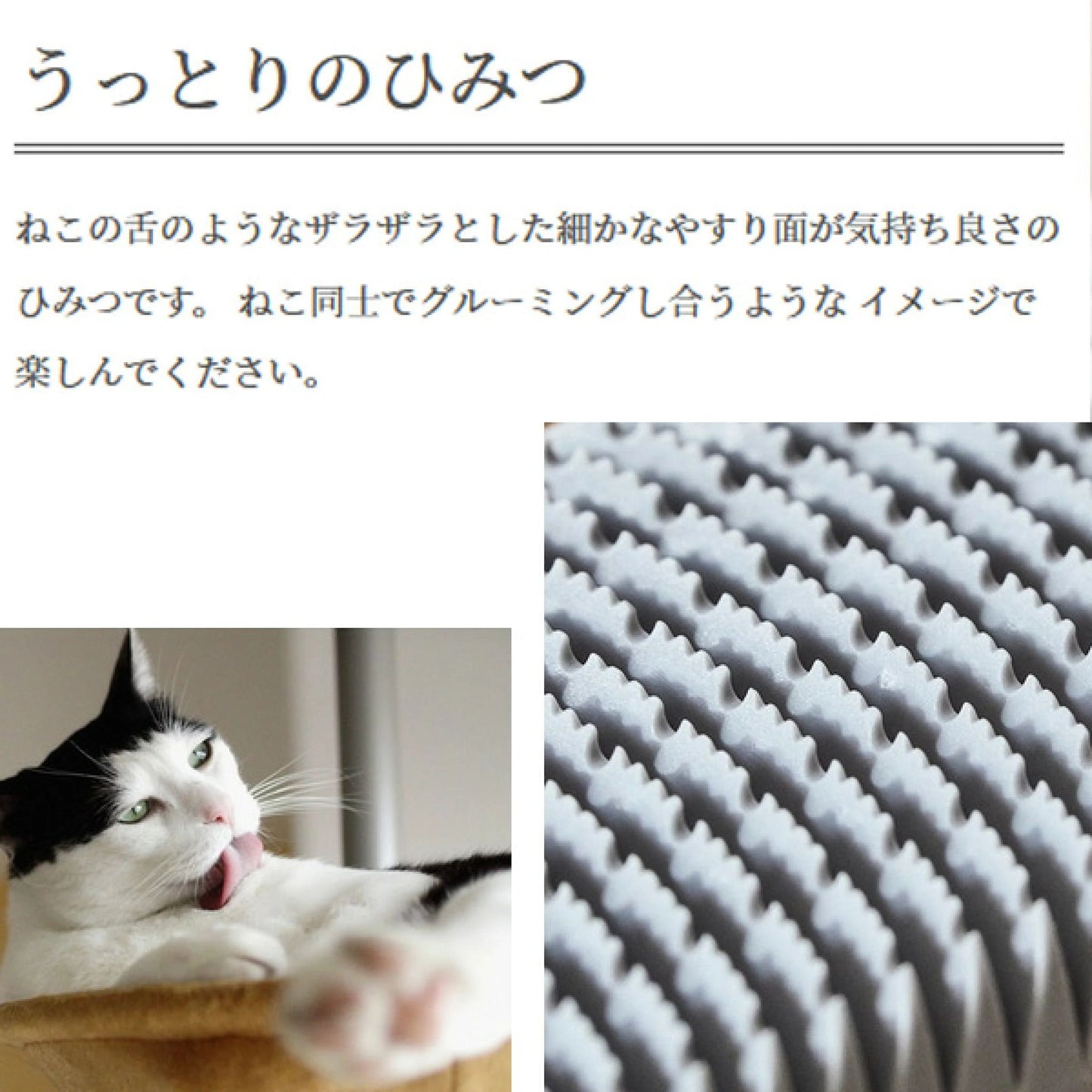 🇯🇵Japanese-made Wataoka Cat Tongue Comb (Nekojasuri) shipped directly from Japan