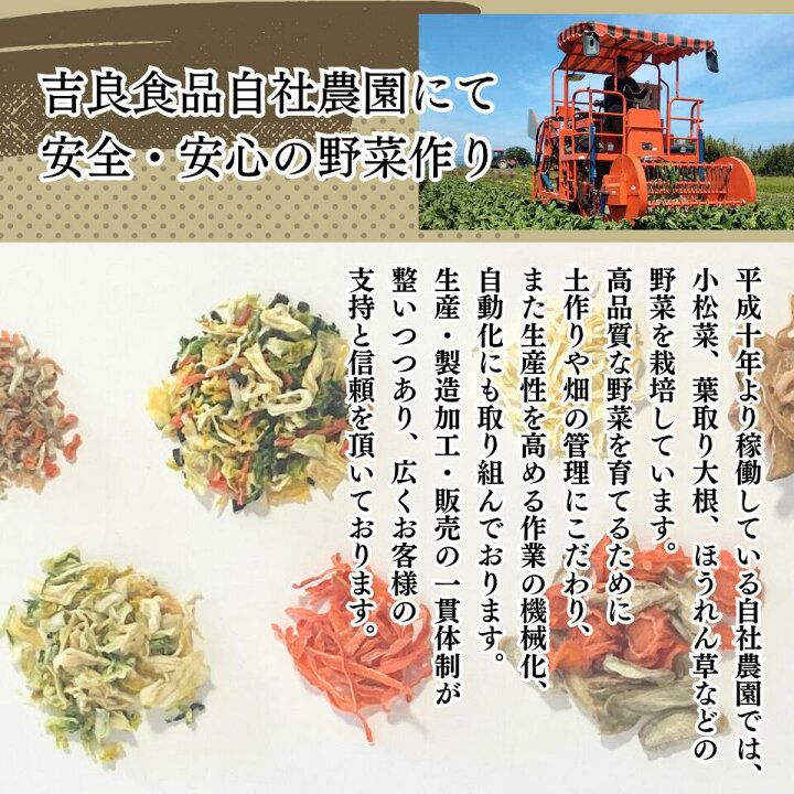 🇯🇵 Kira Food Miso Soup Vegetable Cooking Ingredients Dried Wild Vegetables 40g Directly from Japan 🥬