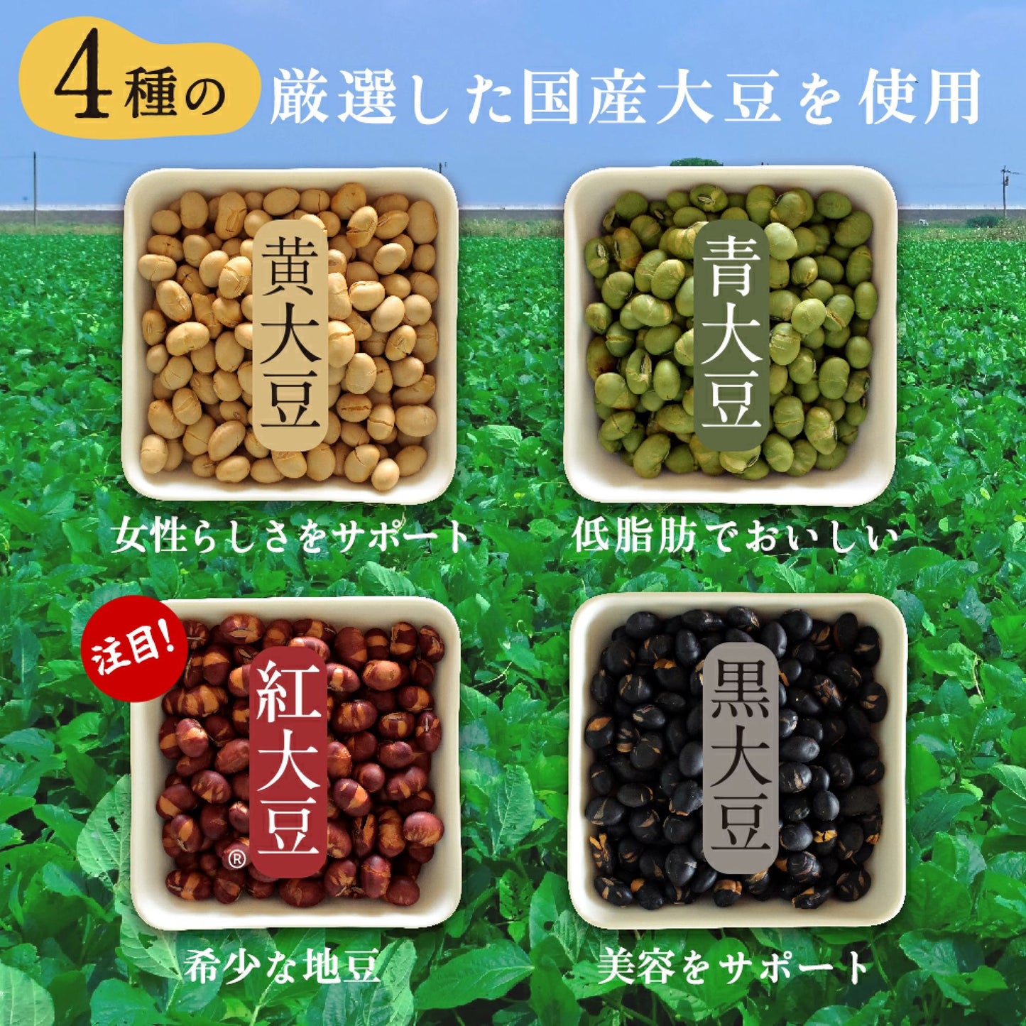 🇯🇵 日本直送 SUPER FOODS JAPAN 4種焙煎大豆混合 500g 🫘 （4種の煎り豆｜國產大豆使用・不加食鹽）