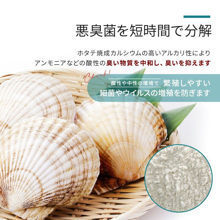 🇯🇵 日本直送 日本製 DEOSTEP+ 鞋用 超微粒子 免沖洗 消臭粉 60g 👟🌿