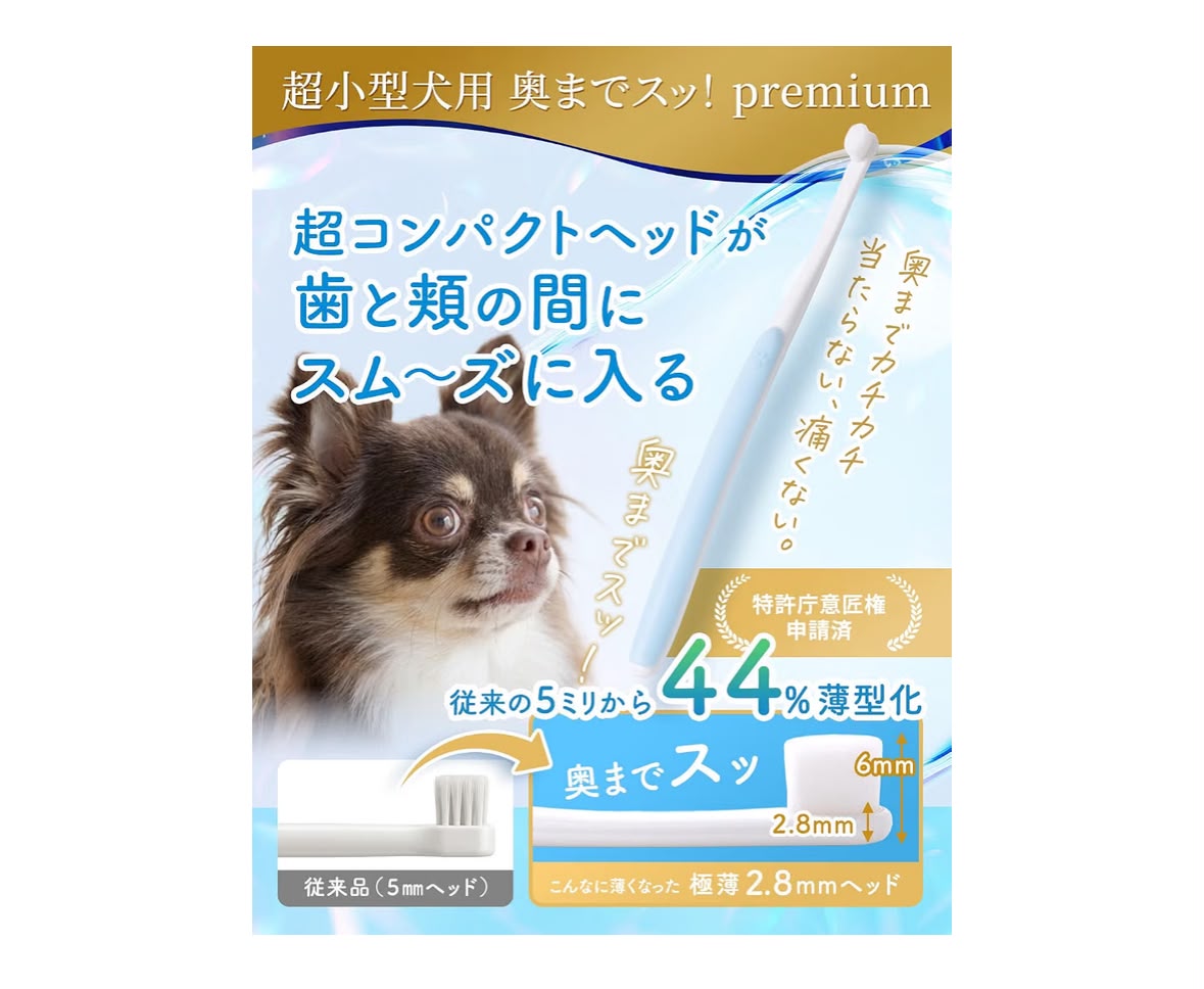 🇯🇵 日本 FLASKY 超小型犬用極薄牙刷🐶✨