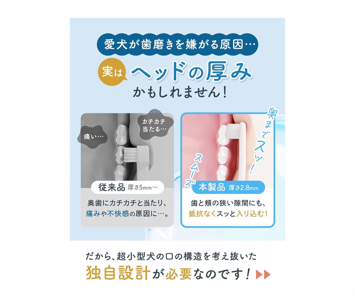 🇯🇵 日本 FLASKY 超小型犬用極薄牙刷🐶✨