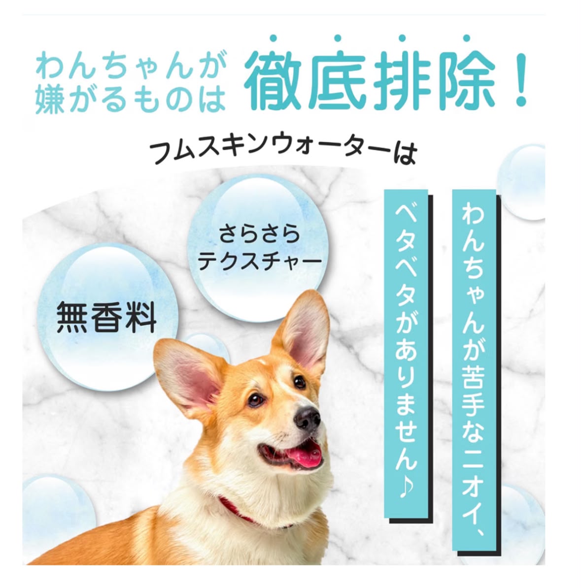 🇯🇵 日本 MOREMOTTO 獸醫監修犬用淚痕清潔噴霧 🐶💧