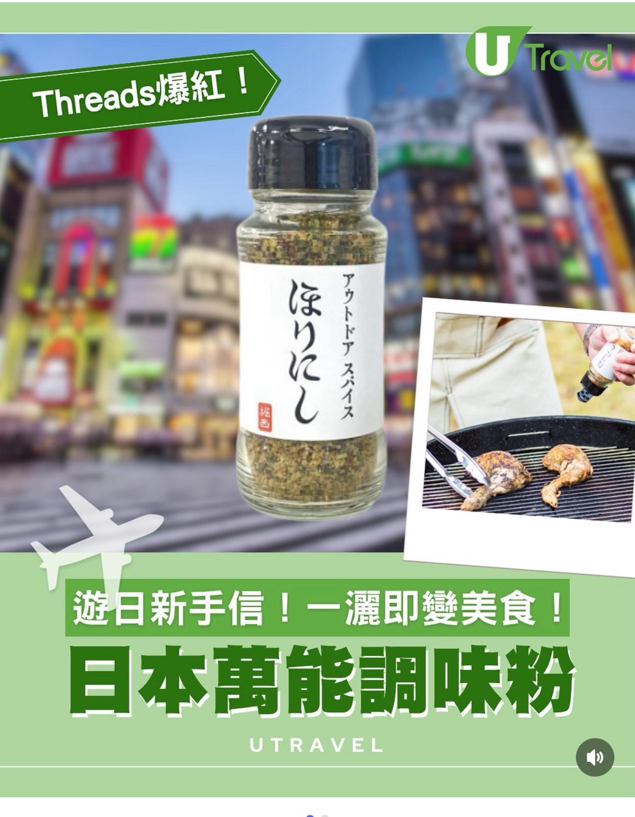🇯🇵日本直送 日本話題之作 Horinishi 堀西 全能調味粉 100g