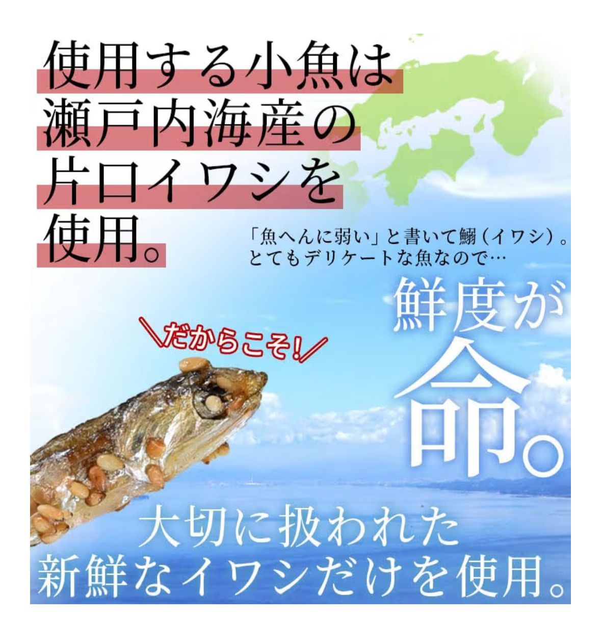 🇯🇵 日本直送 海と太陽 濃厚しっとりいわし 200g 🐟🦴