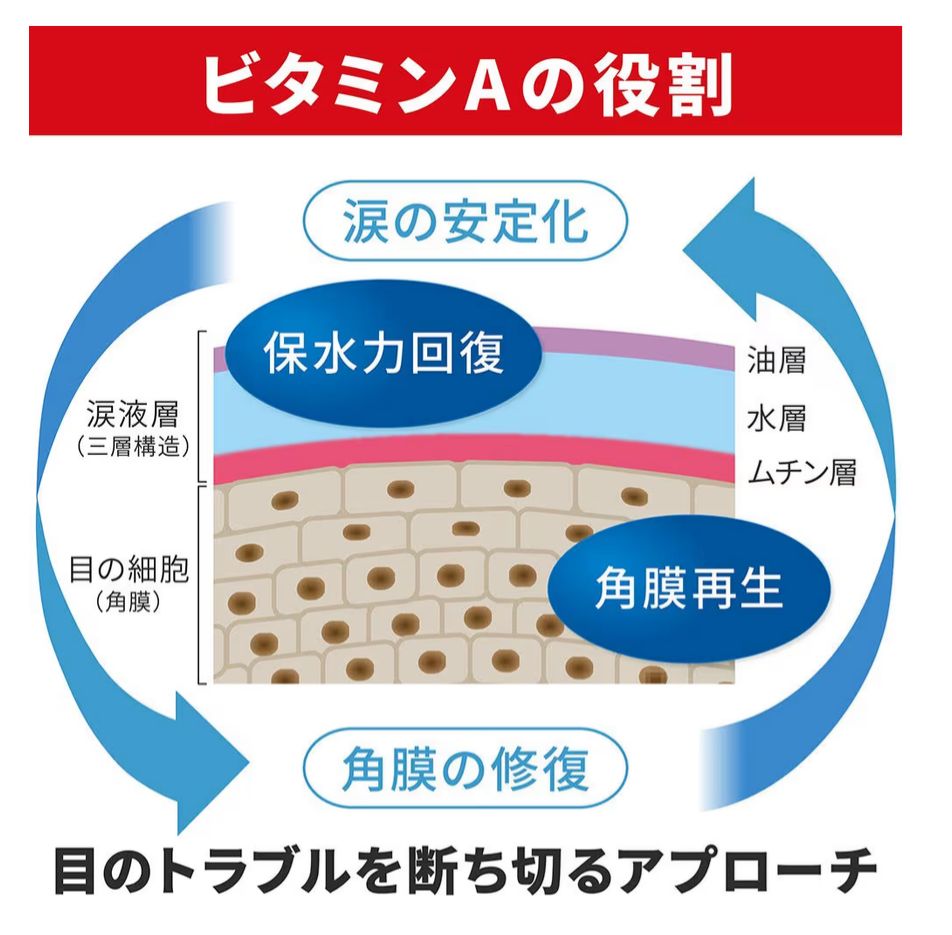 🇯🇵 日本直送  獅王 Smile 40 Premium 維他命眼藥水 15mL 👀