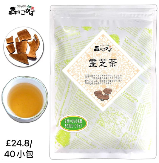 🇯🇵 日本直送 森のこかげ 靈芝茶 🍵 無添加100%天然茶葉 40包